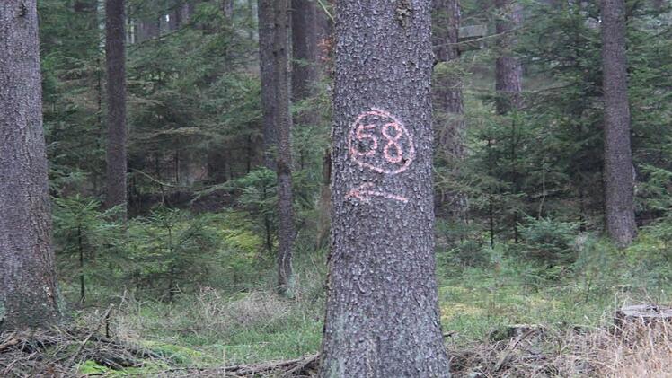 Die Wege zu den einzelnen Ansitzen sind markiert.