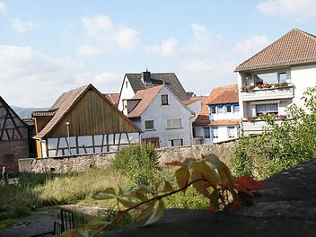 Blick über die Mauer in den Schlettenhof Foto: Arkadius Guzy