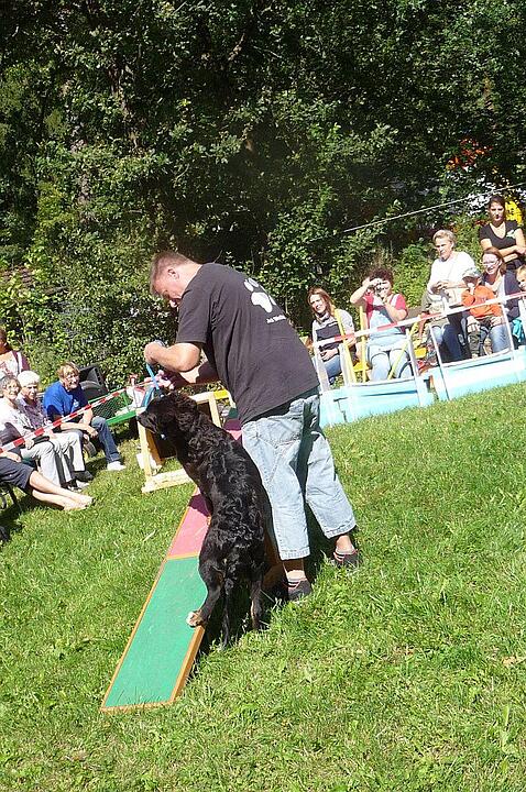 19.8.2017 Tierheimfest Kulmbach