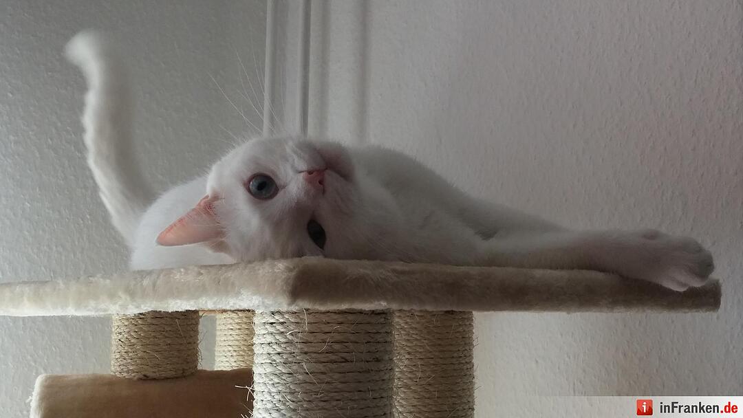 Foto: Katja Paczulla