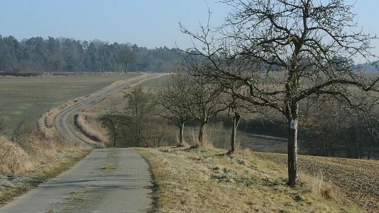 Auf den Anhöhen über Stettfeld: Um den Wald, konkret um etwa 420 Hektar Gemeindewald, tobt ein heftiger Streit.  Foto: Brigitte Krause