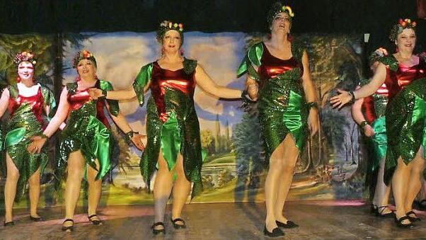 "Freche Früchtchen" - die ATS-Dancers aus Wartenfels begeisterten das Publikum. Fotos: Klaus-Peter Wulf