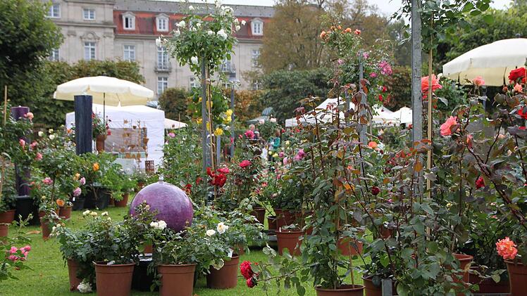 Foto: Sebastian Vogt