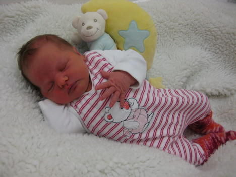 Babygalerie 267