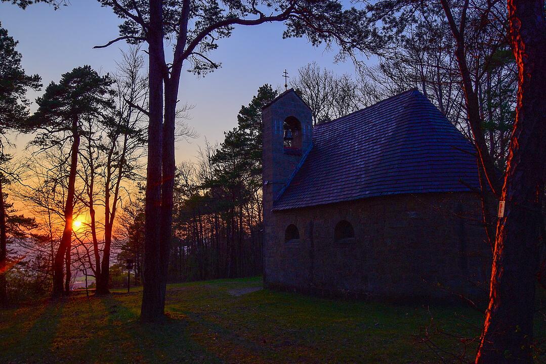 Die schönsten Frühlingsfotos aus Bad Kissingen und Umgebung