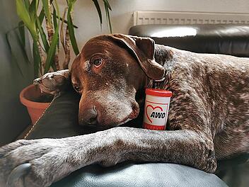 Im Notfall sorgt die Dose jetzt auch daf&uuml;r, dass Falco nicht vergessen wird.