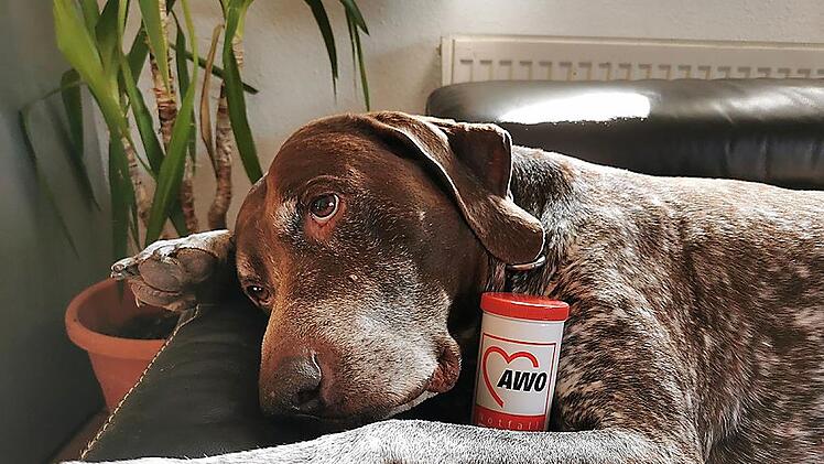 Im Notfall sorgt die Dose jetzt auch daf&uuml;r, dass Falco nicht vergessen wird.