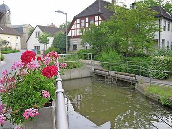 Da ist noch Luft nach oben: Der Dorfteich in Lahm soll zum Abschluss des Dorferneuerungsverfahrens neu gestaltet werden - unter anderem mit einem neuen Geländer und der Möglichkeit, die Wasserfläche leichter zu erreichen. 300 Kubikmeter Löschwasser für Einsätze der Feuerwehr verbleiben aber immer noch im Teich. Foto: Berthold Köhler