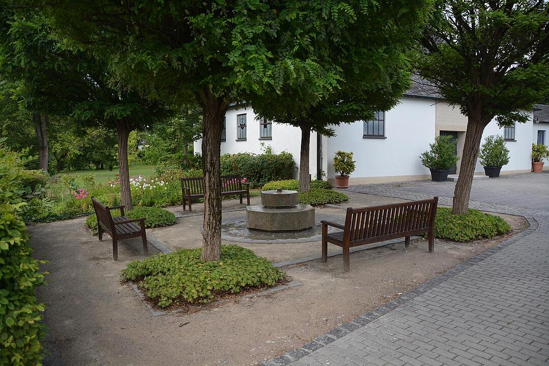 09.09.2015  Fotoreportage Neuensorg