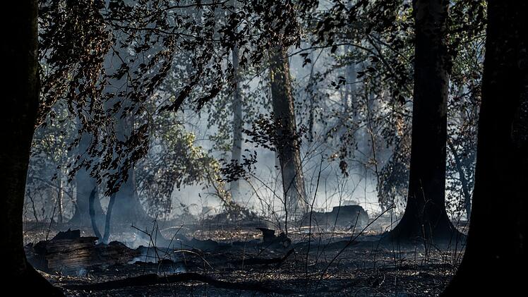 Waldbrand in Hessen
