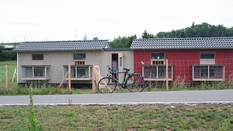 Die Schläge stehen nahe beim Nettomarkt in Mühlhausen