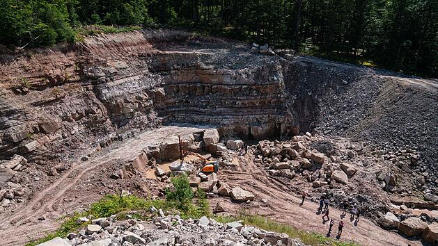 Unterkiefer eines 230 Millionen Jahren alten Sauriers entdeckt