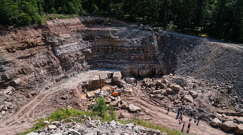 Unterkiefer eines 230 Millionen Jahren alten Sauriers entdeckt