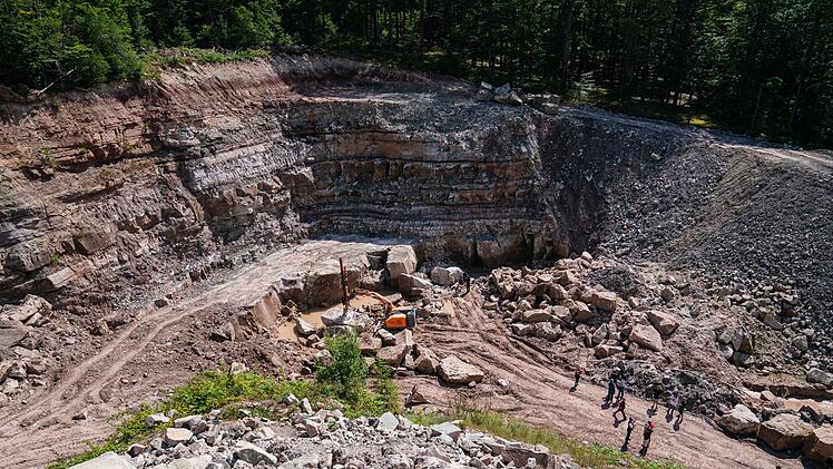 Unterkiefer eines 230 Millionen Jahren alten Sauriers entdeckt