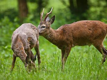 Foto: Jürgen Borris/dpa