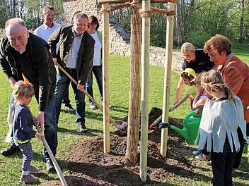 Zwei Walnussbäume pflanzten Bürgermeister Helmut Blank, Landrat Thomas Bold und die Kreisvorsitzende der Gartenbauvereine, Irmgard Heinrich, zum "Tag des Baumes" auf dem Michelsberg.  Foto: Dieter Britz