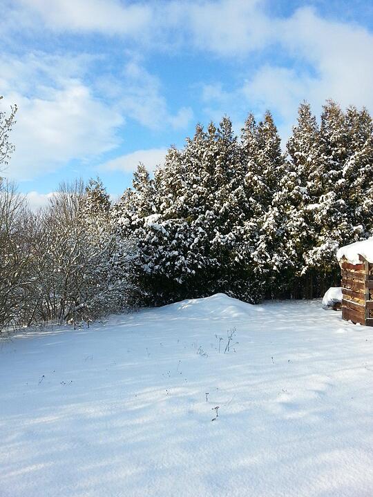 Schnee und Eis - Die schönsten Aufnahmen aus Franken