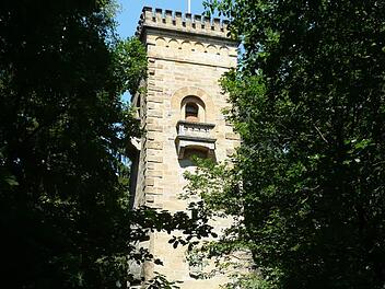 Erst wenn man nah dran ist, sieht man den Lichtenfelser Aussichtsturm am Herberg. Foto: privat