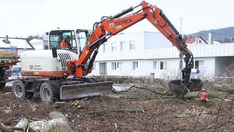 Wo Bäume standen, war schon nach gut zwei Stunden nur noch Kleinholz.