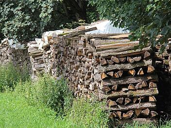 Der Forst füllt weiter den Gemeindesäckel: Die Gemeinde Wartmannsroth rechnet heuer mit Einnahmen von rund 120.000 Euro aus dem Holzverkauf. Foto: Gerd Schaar
