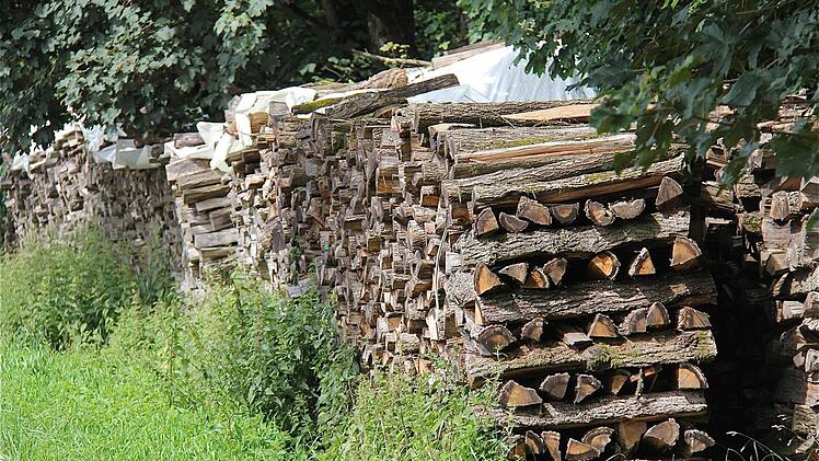 Der Forst füllt weiter den Gemeindesäckel: Die Gemeinde Wartmannsroth rechnet heuer mit Einnahmen von rund 120.000 Euro aus dem Holzverkauf. Foto: Gerd Schaar