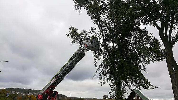 Lichtenfels: Sturm "Ignatz" hinterlässt schwere Schäden