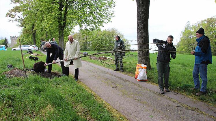 Schwer am Ackern waren Bernd Ledermann, Michael Scheler, Hans-Heinrich Ulmann, Wolfram Hirsch, Natalie Ott und Werner Pilz (von rechts).  Foto: Helke Renner