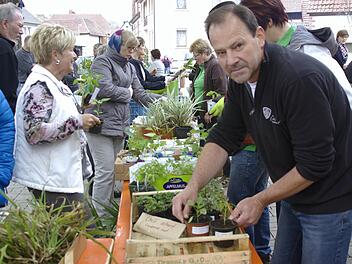 Die Pflanzentauschbörse des Obst- und Gartenbauvereins Untererthal bleibt ein Erfolgsmodell. Auch der neue Vereinskassier Manfred Brunner beteiligte sich daran. Foto: Winfried Ehling