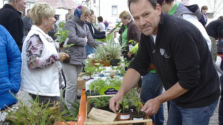 Die Pflanzentauschbörse des Obst- und Gartenbauvereins Untererthal bleibt ein Erfolgsmodell. Auch der neue Vereinskassier Manfred Brunner beteiligte sich daran. Foto: Winfried Ehling
