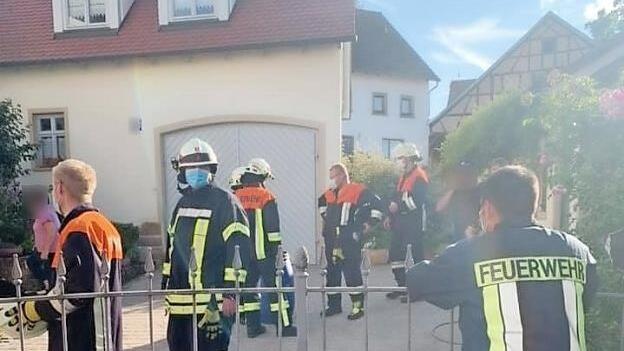 Die Feuerwehr fing die Schlange und setzte sie in ihrem natürlichen Lebensraum aus.