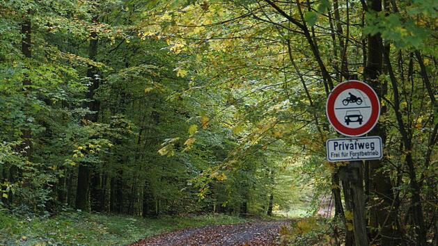 Um den Wald ging es in der Sitzung des Gemeinderates Rauhenebrach.  Sabine Weinbeer