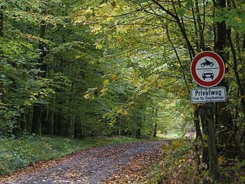 Um den Wald ging es in der Sitzung des Gemeinderates Rauhenebrach.  Sabine Weinbeer
