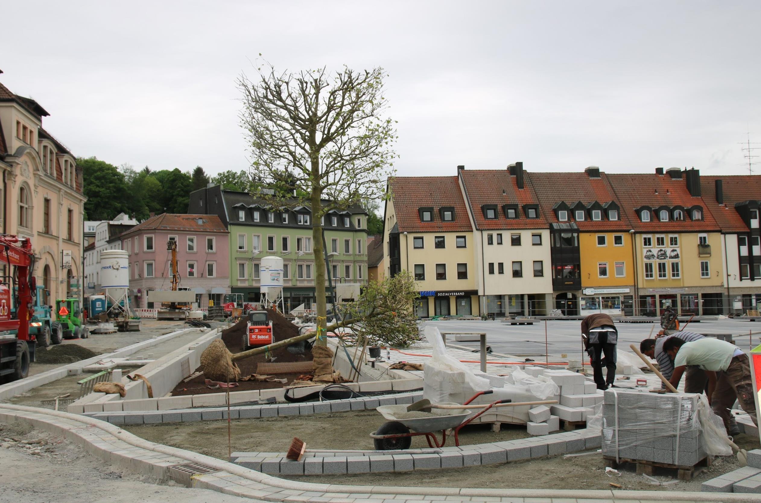 Am Zentralparkplatz in Kulmbach werden die Bäume gepflanzt