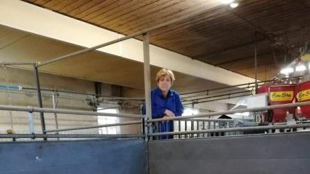 Marion Link mit besorgter Miene in einem der hofeigenen Schweineställe Foto: privat