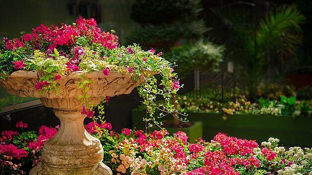 FAU Erlangen-N&uuml;rnberg: Kostenlose Seminare im Botanischen Garten