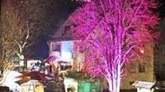 Das Heidsg&auml;rtla im winterlichen Lichterglanz Foto: privat