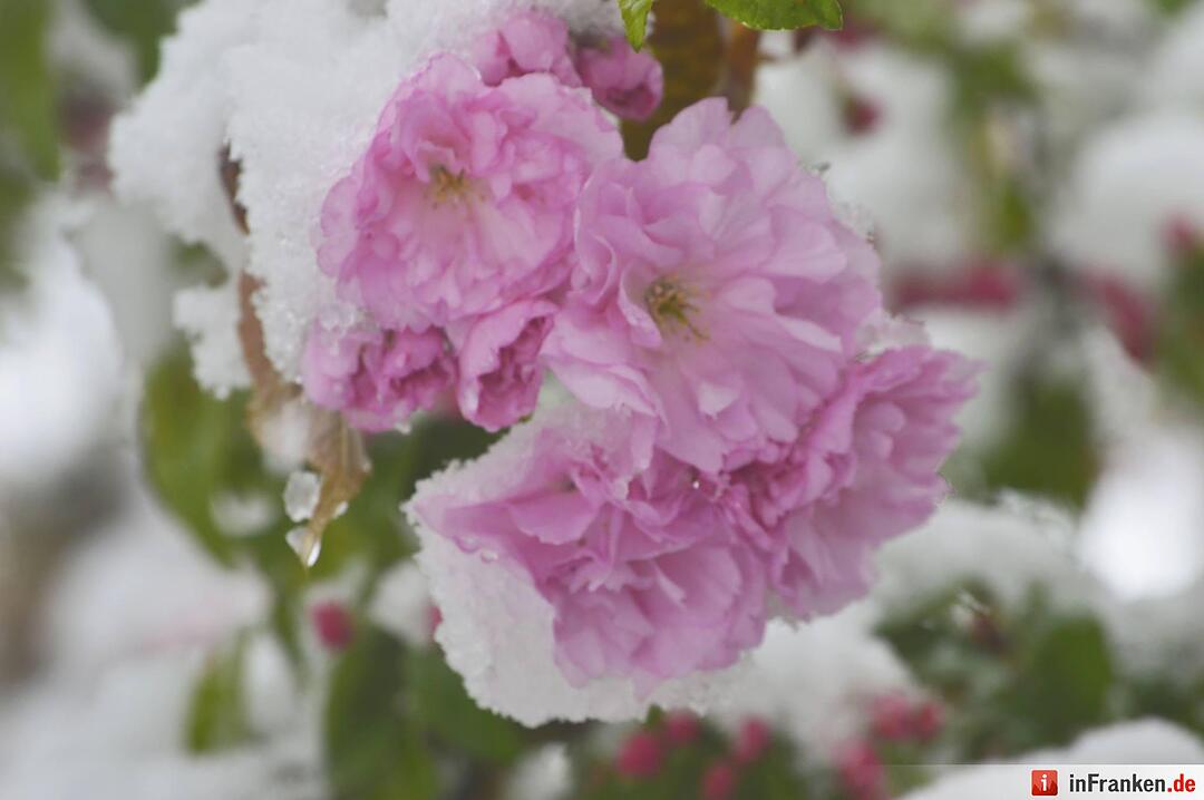 Franken: Ostermontag versinkt im Schnee