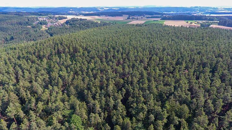 Am Dienstagabend ist es in Oberfranken zu einem Waldbrand gekommen. Die Folgen des Brandes sind deutlich zu erkennen. Foto: Fricke/News5