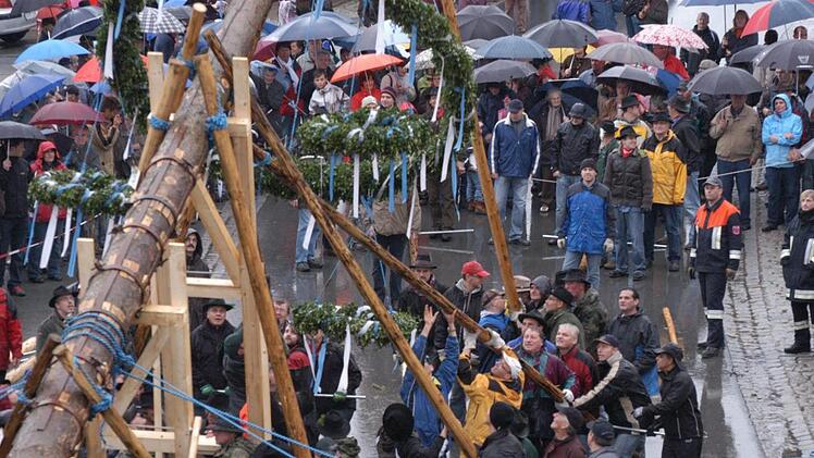 Super Wetter herrschte 2010 nicht, als der Pluabaum unter mächtigen Anstrengungen in die Höhe gehievt wurde.  Foto: Archiv Michael Petzold