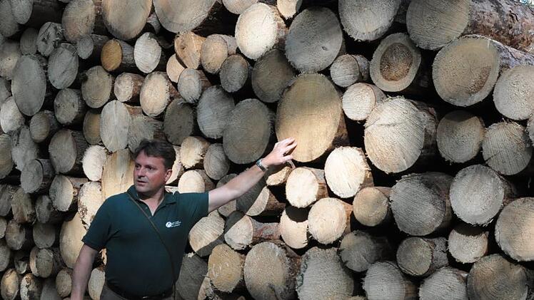 Forstbetriebsleiter Heiko St&ouml;lzner vor einer Wand aus gef&auml;lltem K&auml;ferholz.Martin Schweiger