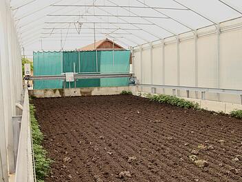 Das Trockenbeet mit dem "Keiler" im Hintergrund. Fotos: Günther Geiling