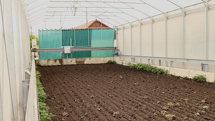 Das Trockenbeet mit dem "Keiler" im Hintergrund. Fotos: Günther Geiling