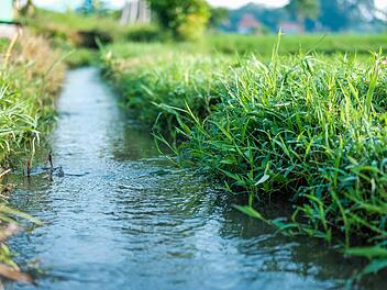 Landkreis Bamberg: Bu&szlig;gelder drohen - Warum du beim Gie&szlig;en deines Gartens aufpassen musst, mit was du gie&szlig;t