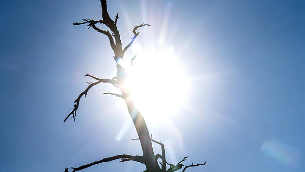 Wettervorhersage in Franken: DWD warnt vor Hitze - doch Hochsommer dann zu Ende?