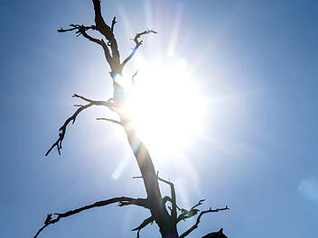 Wettervorhersage in Franken: DWD warnt vor Hitze - doch Hochsommer dann zu Ende?