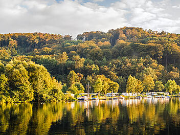 Lust auf Camping in Deutschland? Entdecke die Top 12 der schönsten Plätze, von der Nordsee bis zu den Alpen.