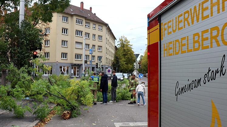 Sturmtief "Luise" trifft Heidelberg