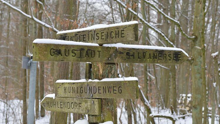 Viele Wanderwege laden ein. Foto: Ronald Rinklef