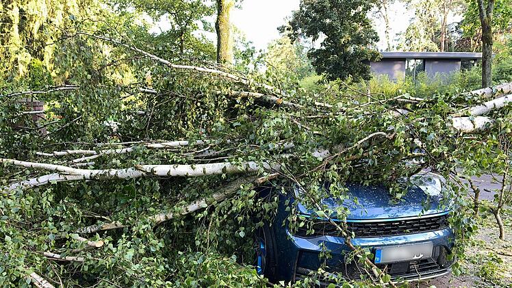 Schaden durch Naturgefahren.