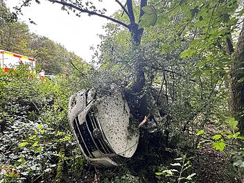 Königsberg: Autofahrer wird mit Wagen "gegen Baum katapultiert" - Zentimeter verhindern Tragödie